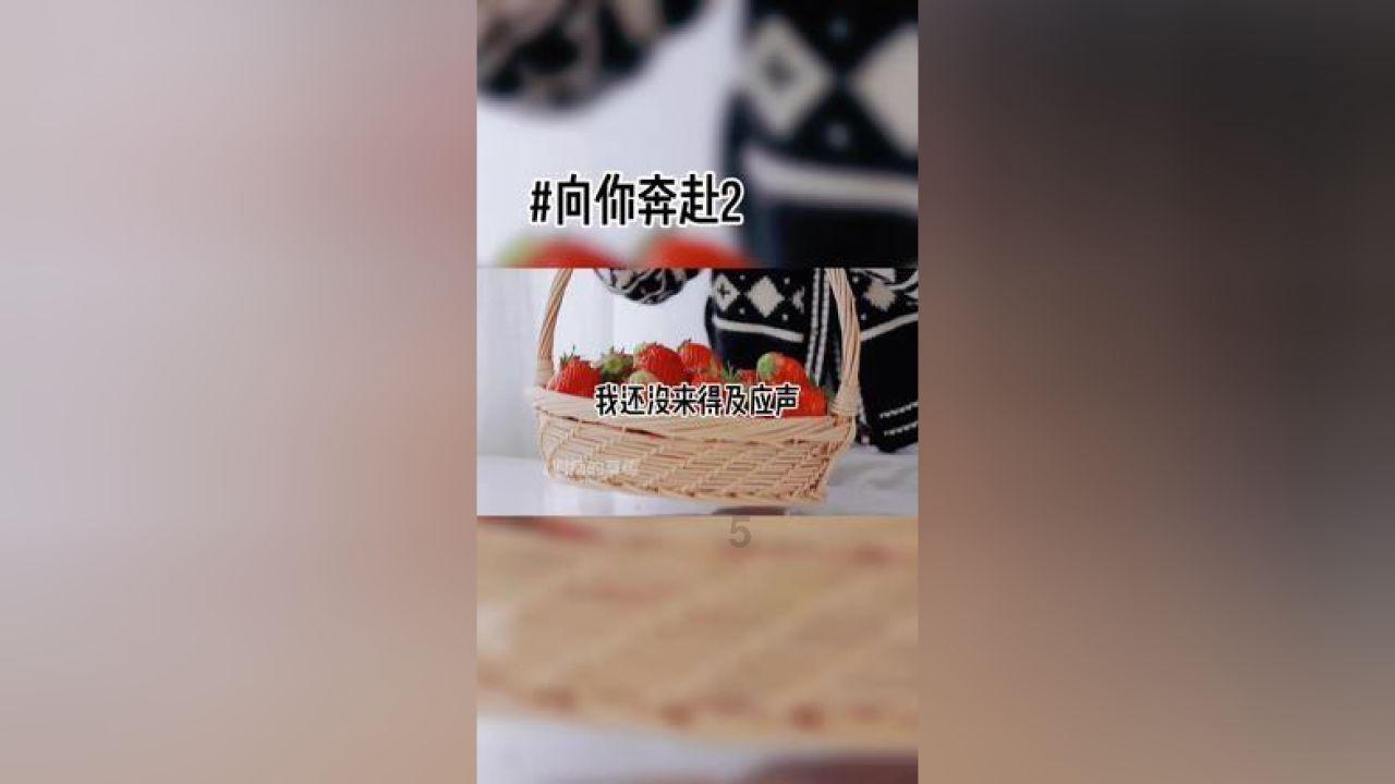 逃出白海豹洞