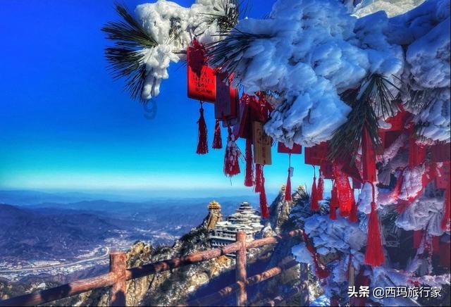 怎么吃小龙虾-红迪网平台,分享精彩瞬间